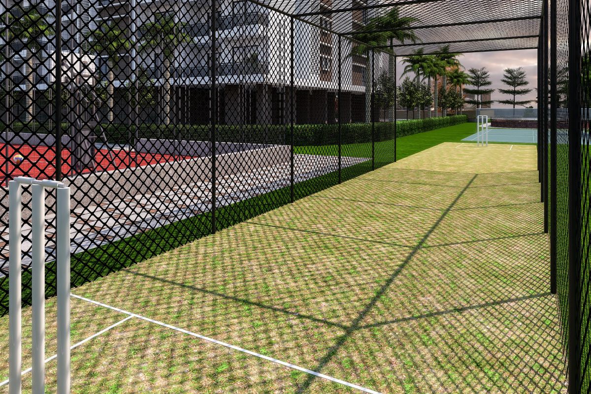 Cricket pitch